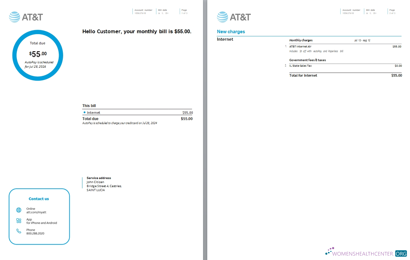 download download Saint Lucia internet utility bill, 3 pages scr